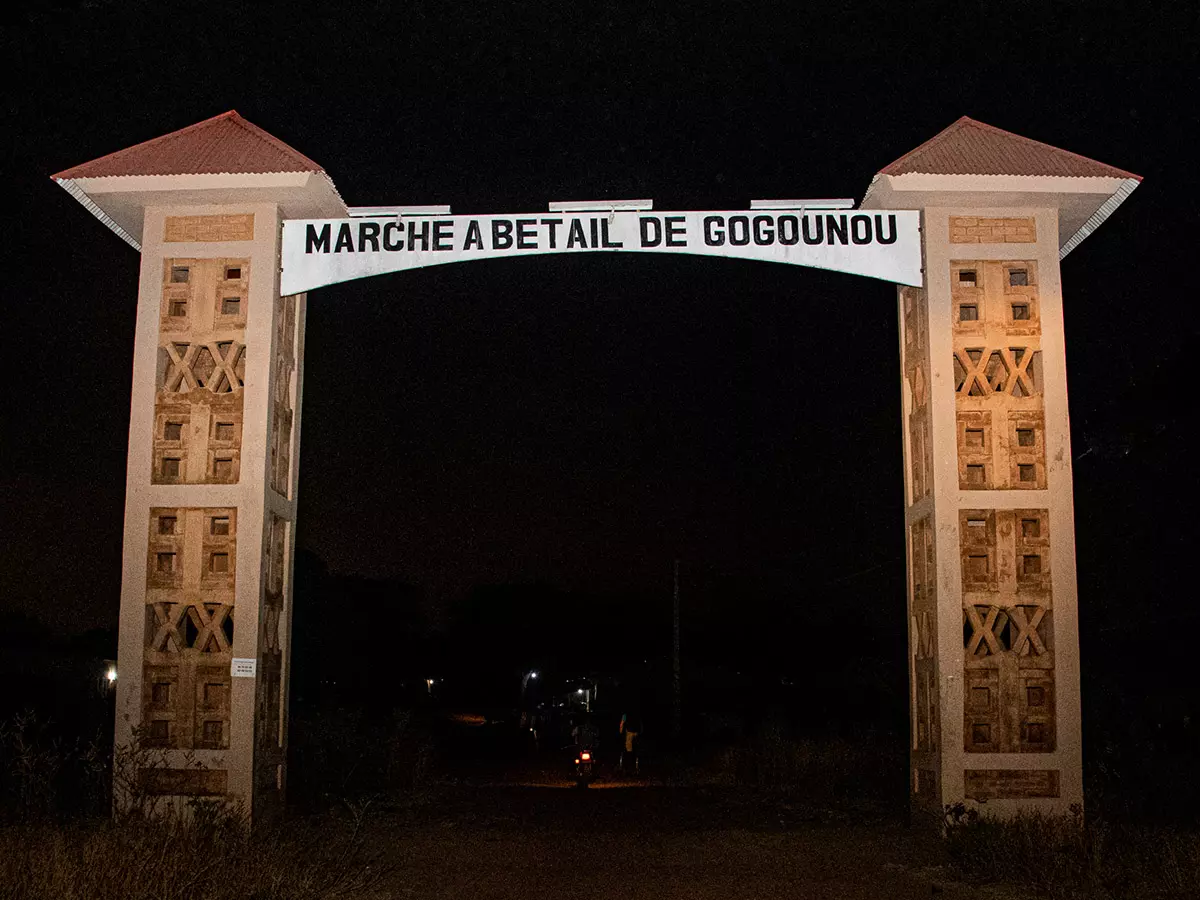 GOGOUNOU | Express Tourisme Bénin