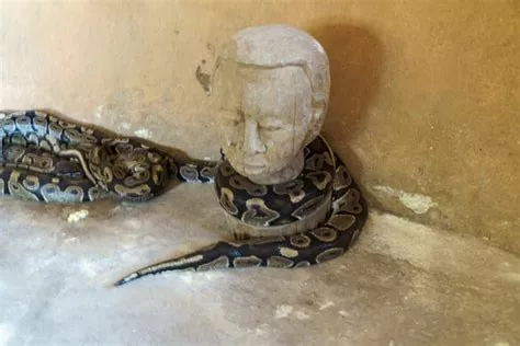 Le Temple des Pythons | Express Tourisme Bénin