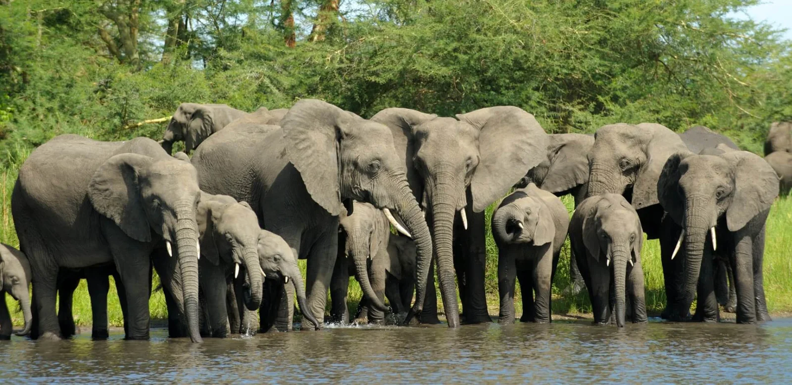 Tourisme en Afrique : Pourquoi visiter Malanville, la ville aux milles atouts dans le nord Bénin ? | Express Tourisme Bénin